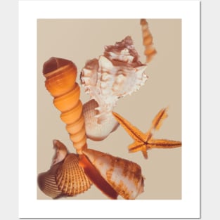 Summer Beach Sand Seashells Holidays Posters and Art